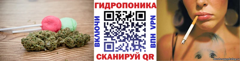 как найти наркотики  Новосибирск  Cannafood марихуана 